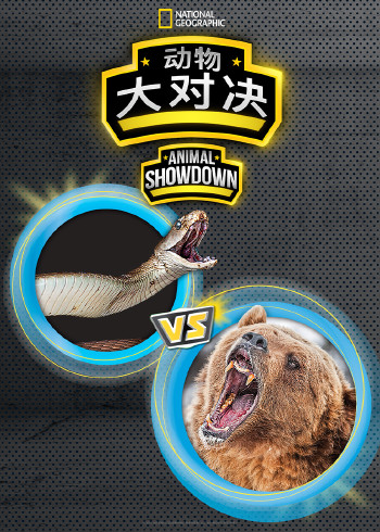 动物大对决